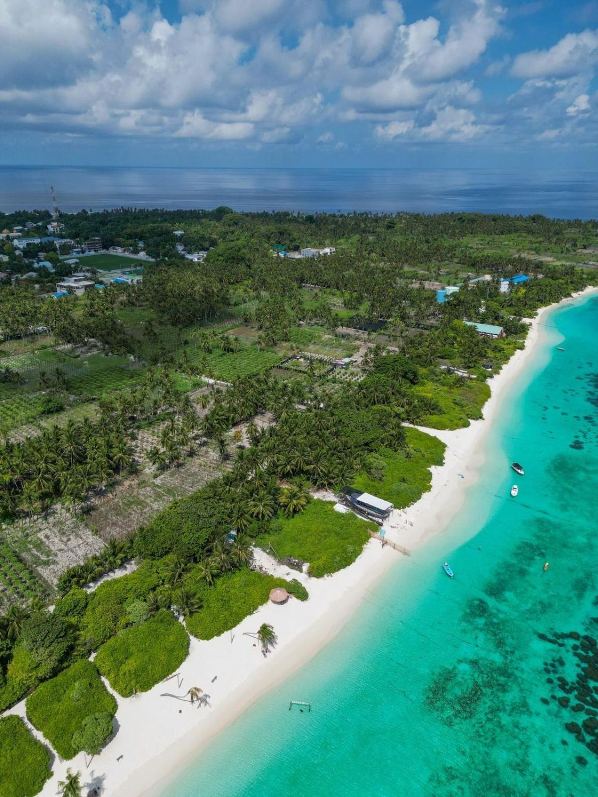 Sands Garden Hotel Thoddoo Eksteriør bilde
